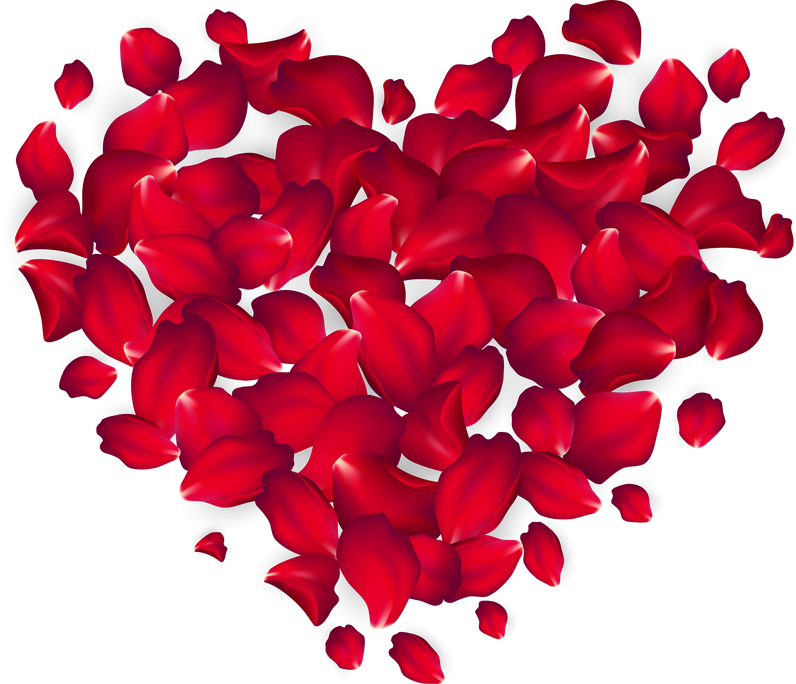 Red Rose Petals in Heart Shape