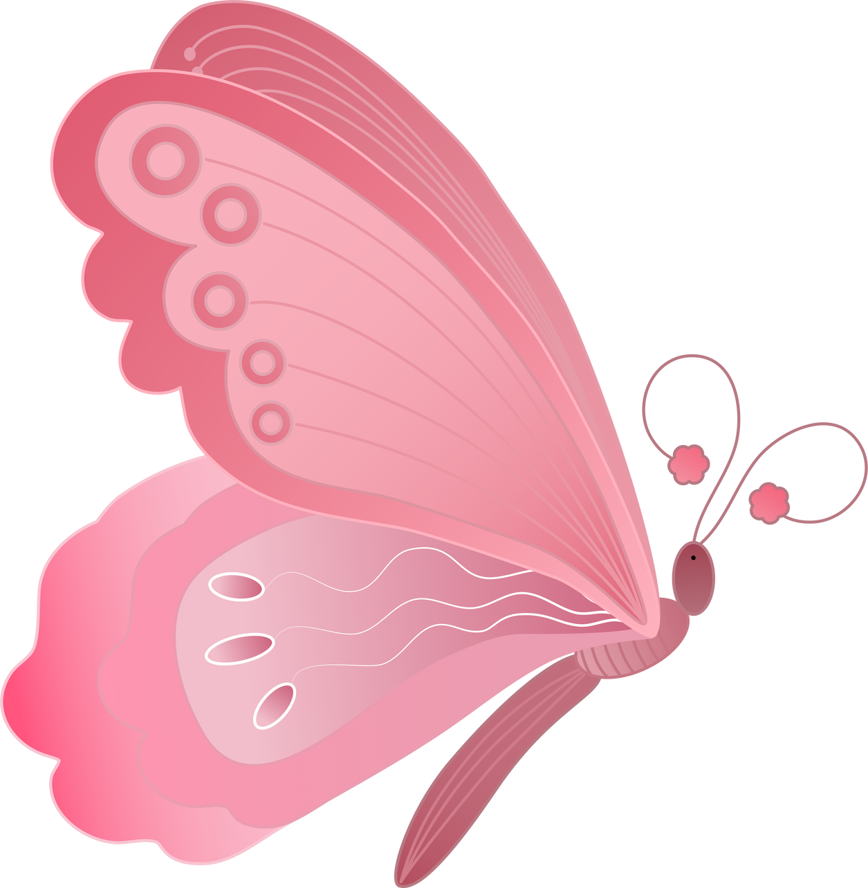 Pink Butterfly Illustration