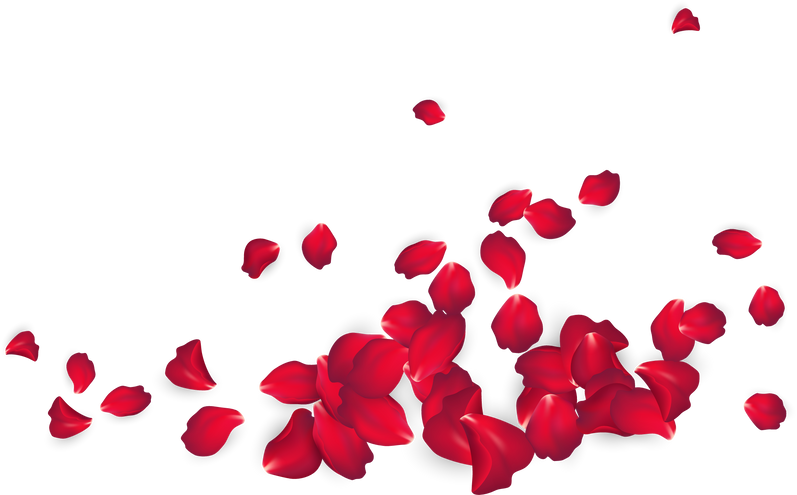 Rose Petals Design Element