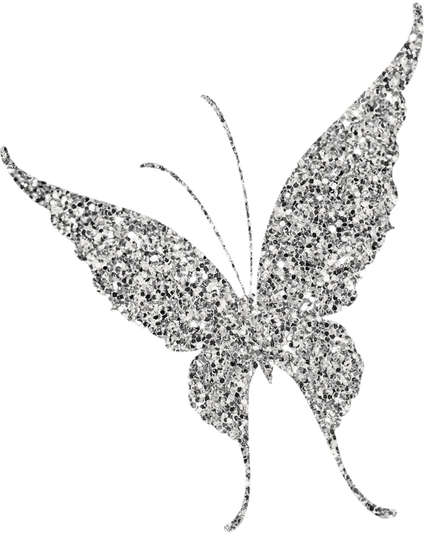 Silver Glitter Butterfly 